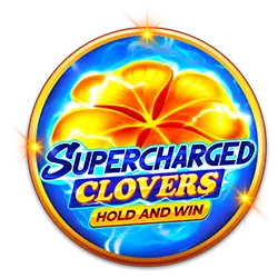 cczz online casino where can i bet on nfl games online